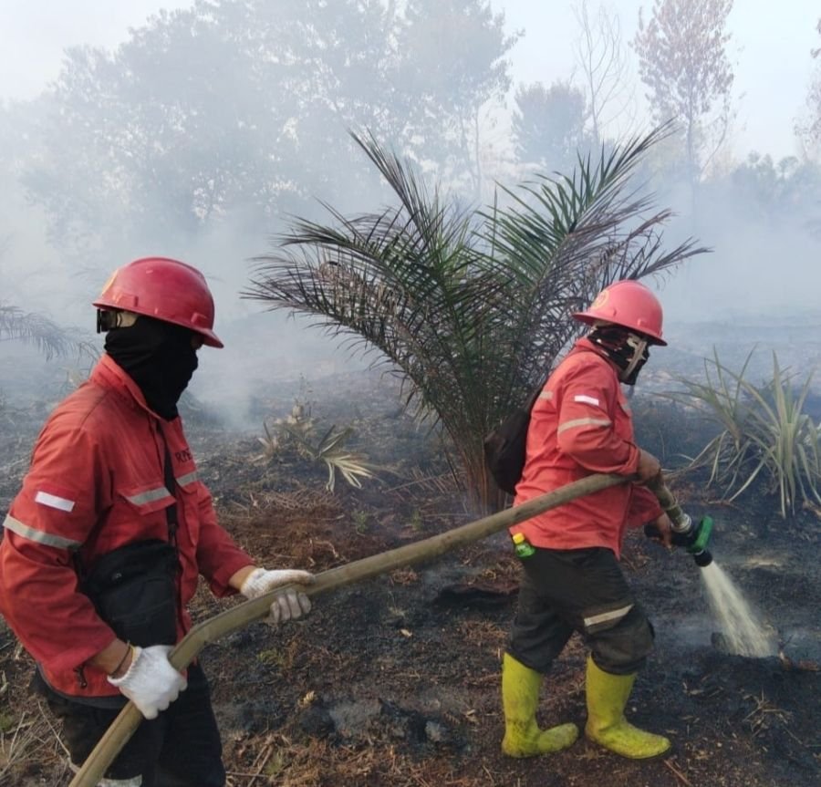 Satgas Karhutla Riau Apresiasi Personel Arara Abadi Padamkan Api