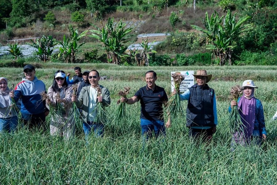 Satgas Pangan Polri Genjot Swasembada Bawang Putih, Lahan Tanam di Sembalun Capai 534 Hektare