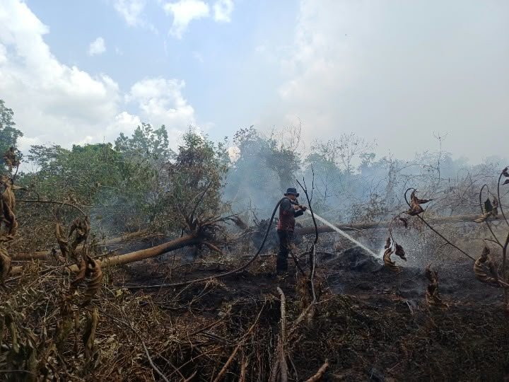 Terjebak Asap Karhutla di Rohil, Rasman Petugas Arara Abadi Selamatkan Rekan