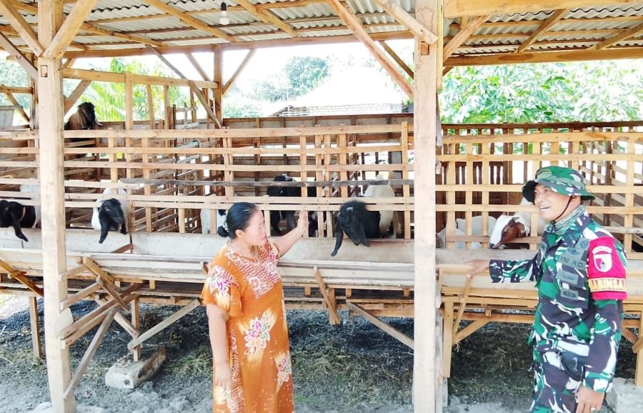 TMMD 129 Bojonegoro: Babinsa Kesongo 'Sentuh Hati' Peternak Kambing