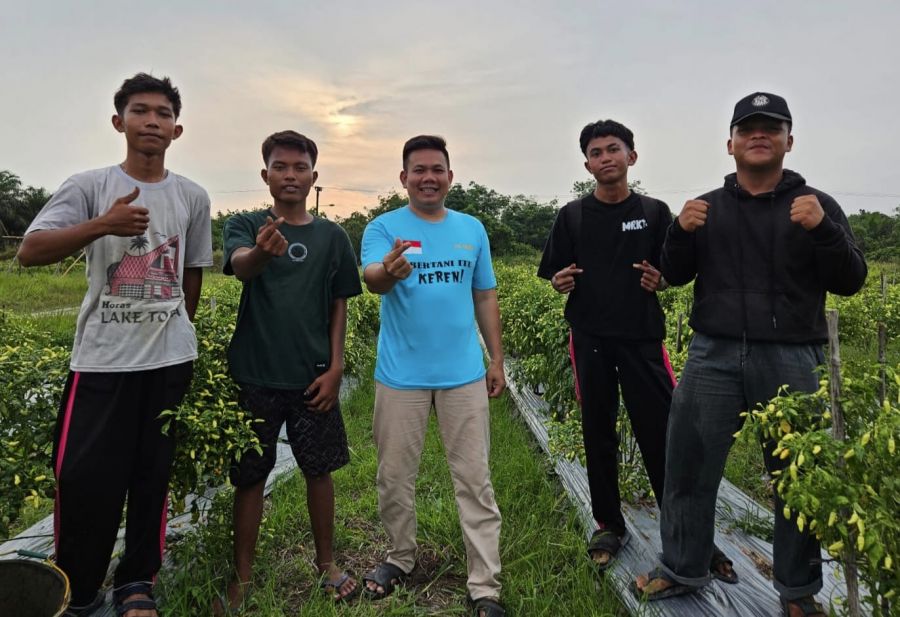 TPID Riau Panen Cabai Untuk Tekan Harga di Pasar