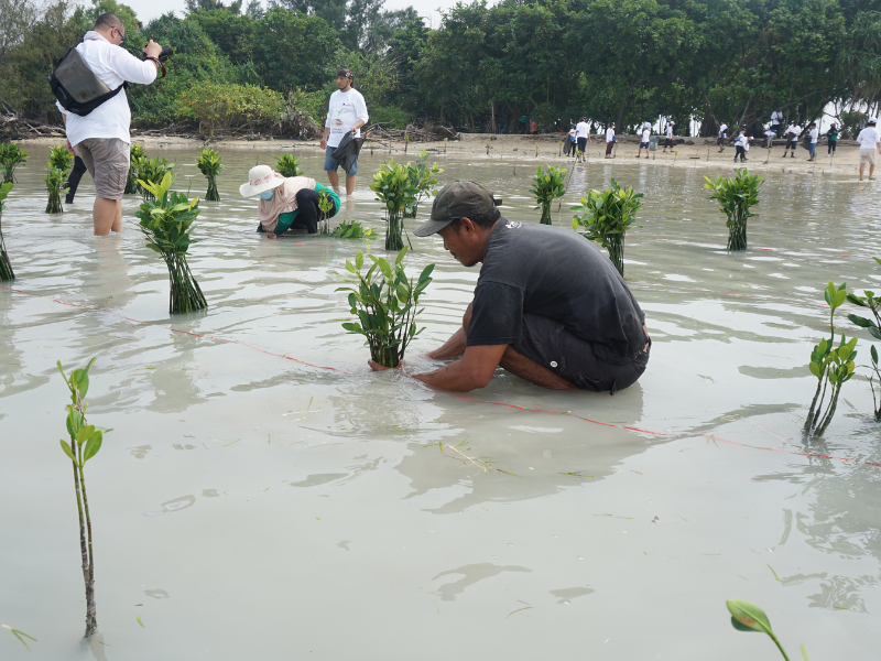 TreeshBash: Kolaborasi Terbaik untuk Mewujudkan Lingkungan yang Berkelanjutan