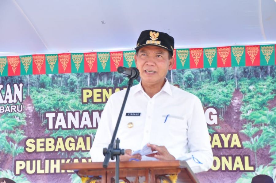 Wali Kota Tanam Bibit Porang di Kelurahan Agrowisata Rumbai Barat