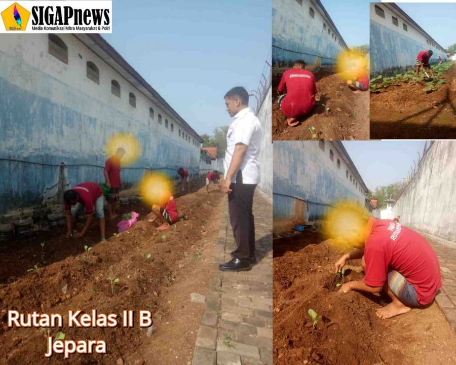 Warga Binaan Rutan Jepara Tanam Terong di Lahan Terbatas
