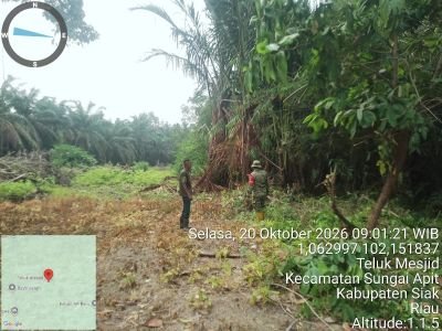 Babinsa Koramil Sungai Apit Patroli Karhutla di Teluk Mesjid, Titik Api Nihil
