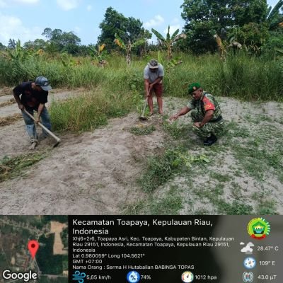 Dukung Hasil Panen, Babinsa Toapaya Asri Tinjau Langsung Aktivitas Petani di Wilayah Binaan.