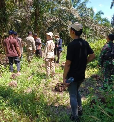 Kelompok Tani 80 Laporkan Dugaan Pencurian Sawit ke Polda Riau