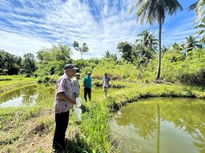 PLN UIP3B Sumatera Siap Salurkan Electrifying Agriculture, Harapan Baru Pembudidaya Ikan di Padang Pariaman